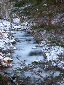 Ruisseau gelé, entre le col de Bornette et le reposoir.