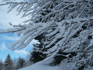 Paysages de neiges, au Revard.
